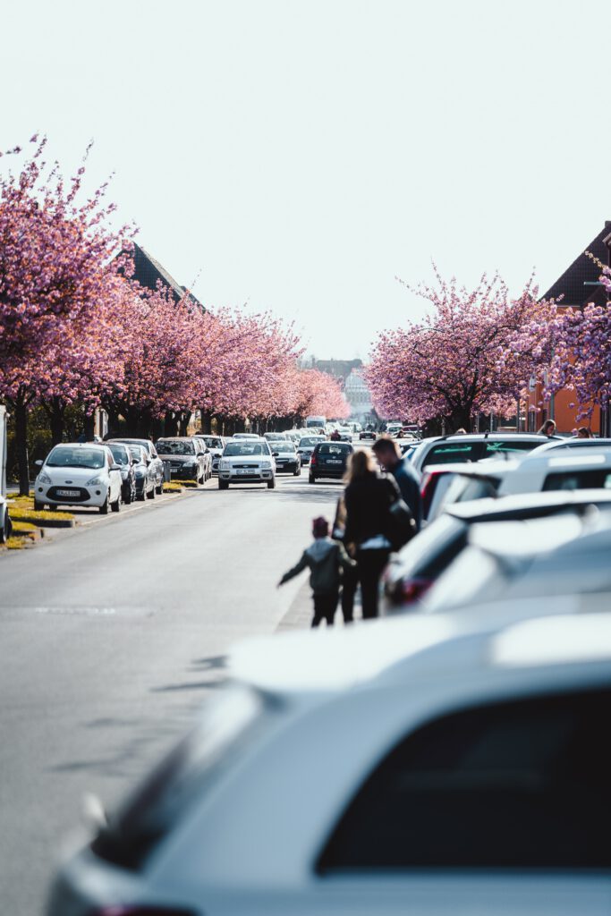 Die schönsten Orte in Bielefeld, die schönsten Fotospots in Bielefeld, Auf dem Langen Kampe Bielefeld, Kirschblütenallee Bielefeld, Kirschblüten Bielefeld