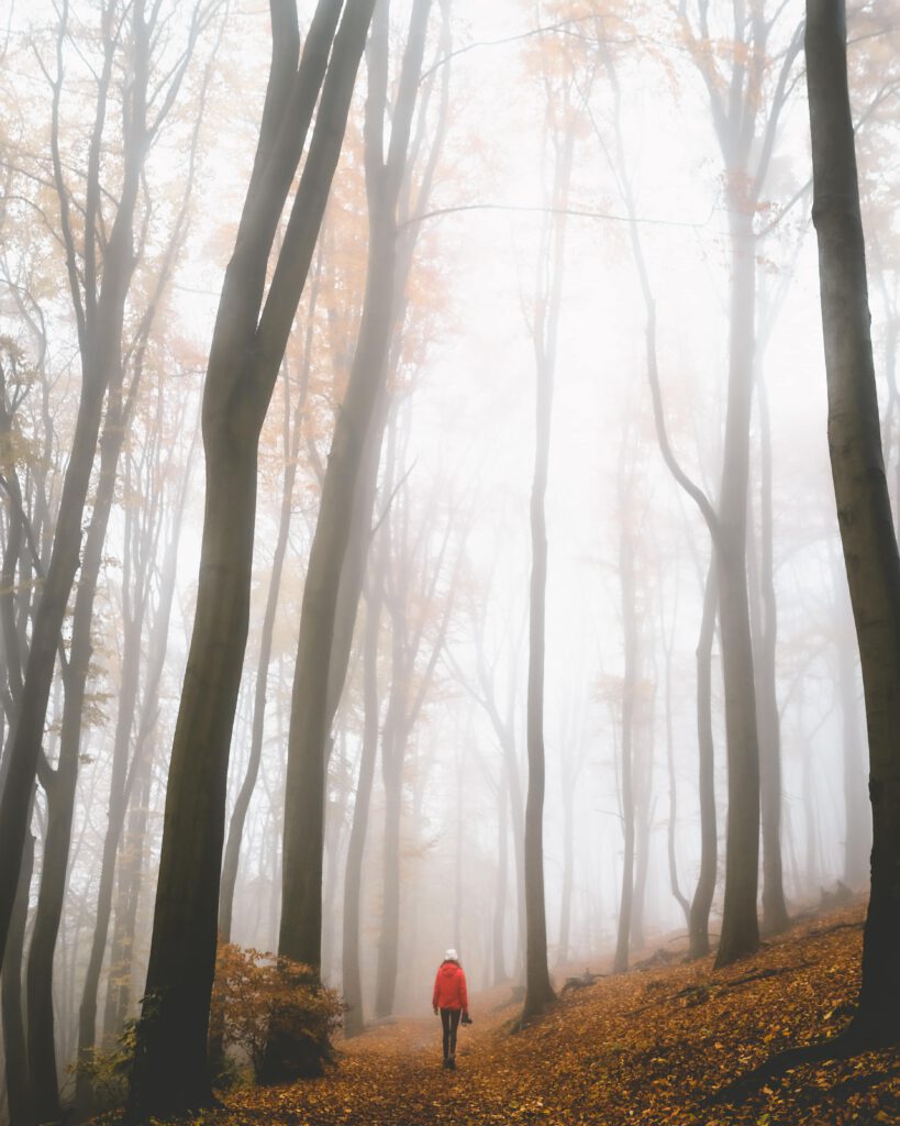 Die schönsten Orte in Bielefeld, die schönsten Fotospots in Bielefeld, Teutoburger Wald Fotospots, Teutoburger Wald Bielefeld, Fotospots Teutoburger wald